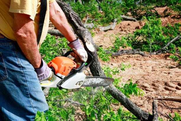  Dumas, AR Tree Service Pros